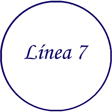 LINEA 7